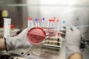 The hospital laboratory performs a range of advanced laboratory tests