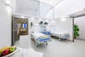 A companion can stay with the patient in their room