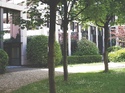 The clinic is located in central Geneva in a lovely green area